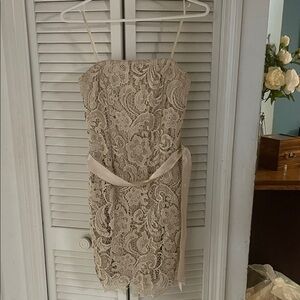 Cache Strapless Lace Dress in Cream